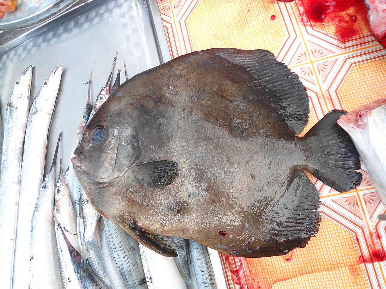 Морская рыба на хайнаньском рынке